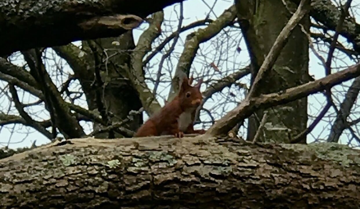 Photo of Others in Hugleville-en-Caux