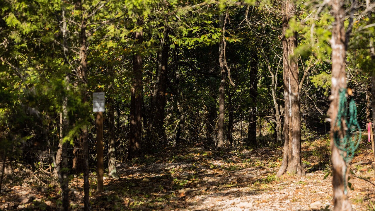 Photo of Outdoor in Table Rock