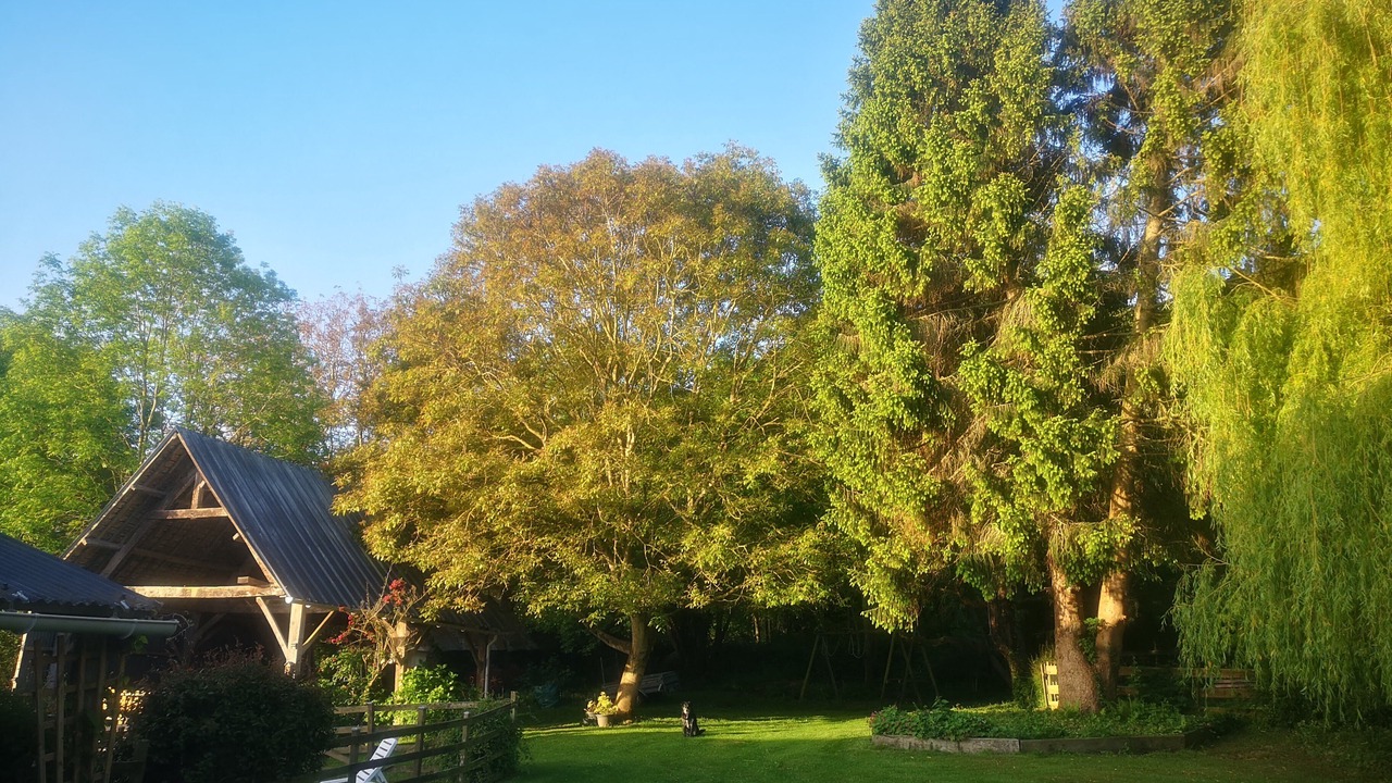 Photo of Outdoor in Roz-sur-Couesnon