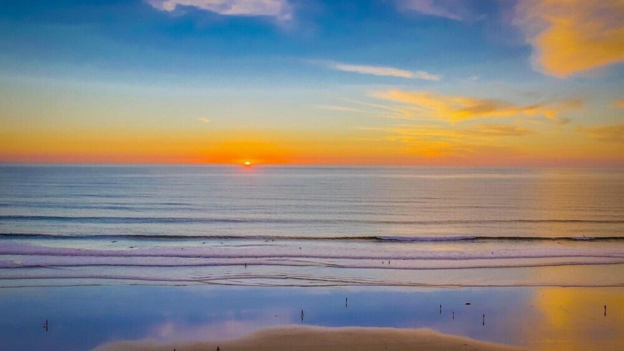 Photo of Others in North Pacific Beach