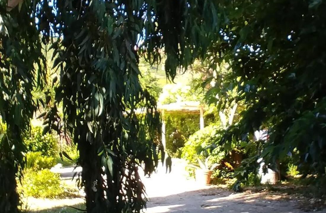 Photo of Outdoor in Santa-Severa