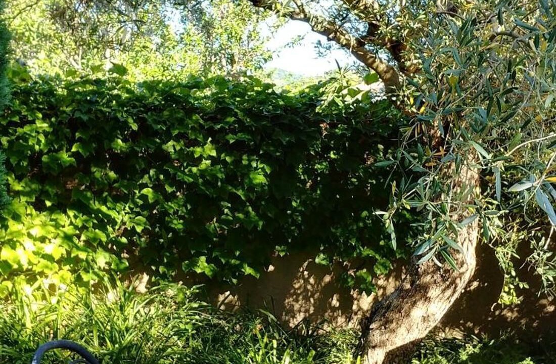 Photo of Patio Balcony in Santa-Severa