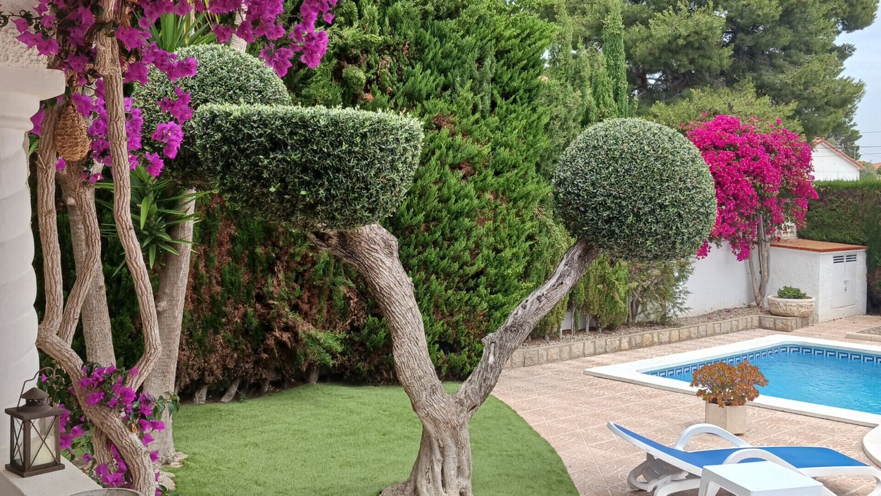 Photo of Patio Balcony in Miami Platja