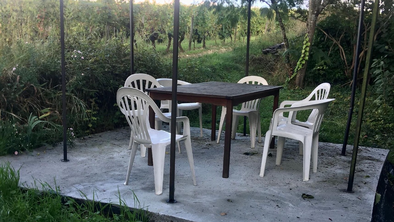 Photo of Outdoor in Beaumont-en-Veron