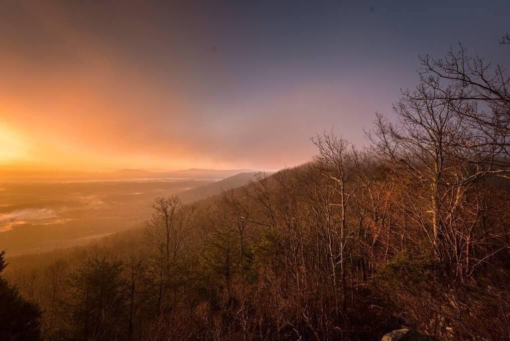 Photo of Others in Rising Fawn