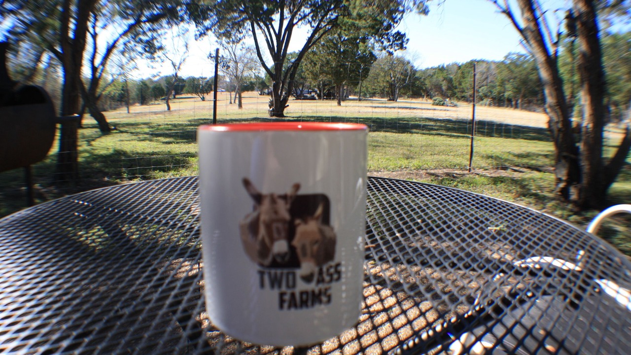 Photo of Outdoor in New Braunfels