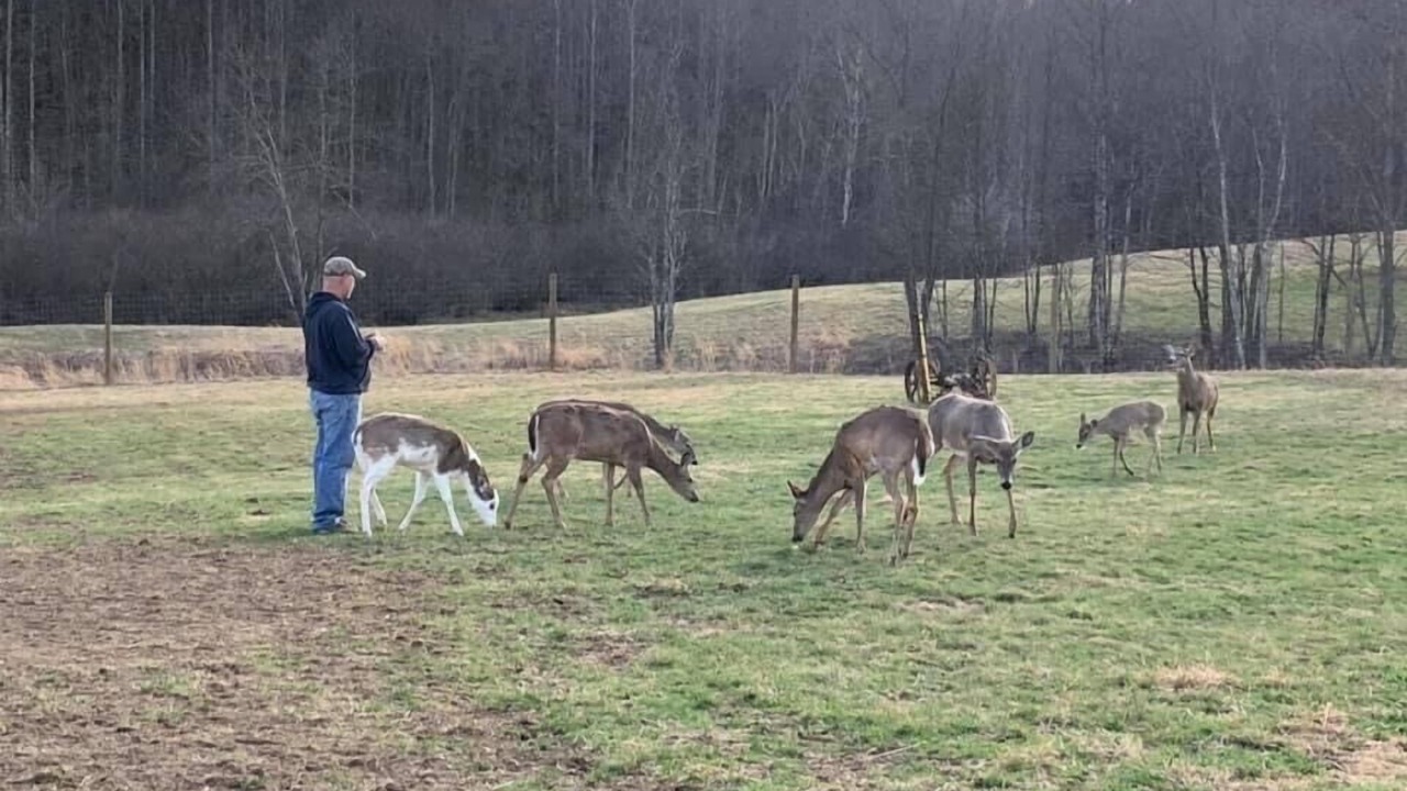 Photo of Others in Buckhannon