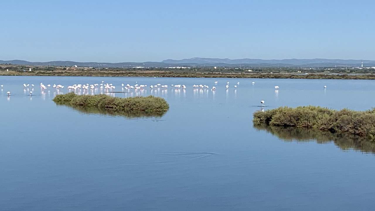 Photo of Outdoor in Palavas-les-Flots