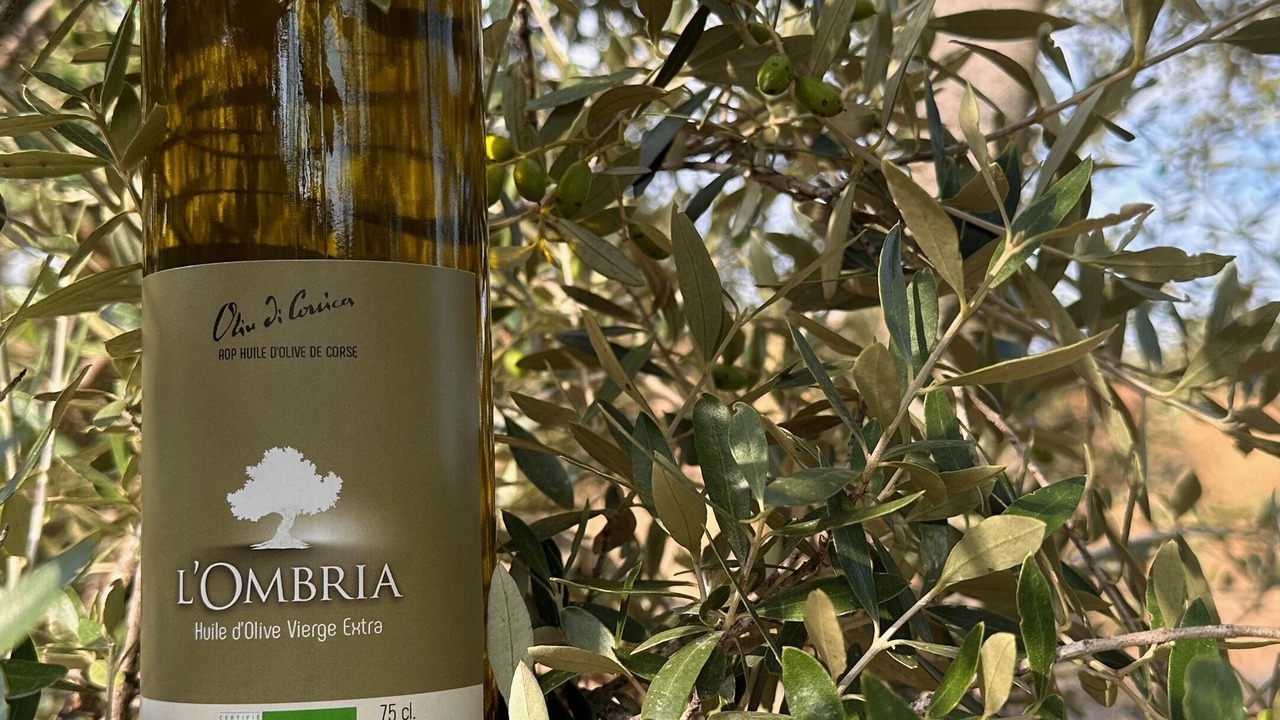 Photo of Others in Belgodere