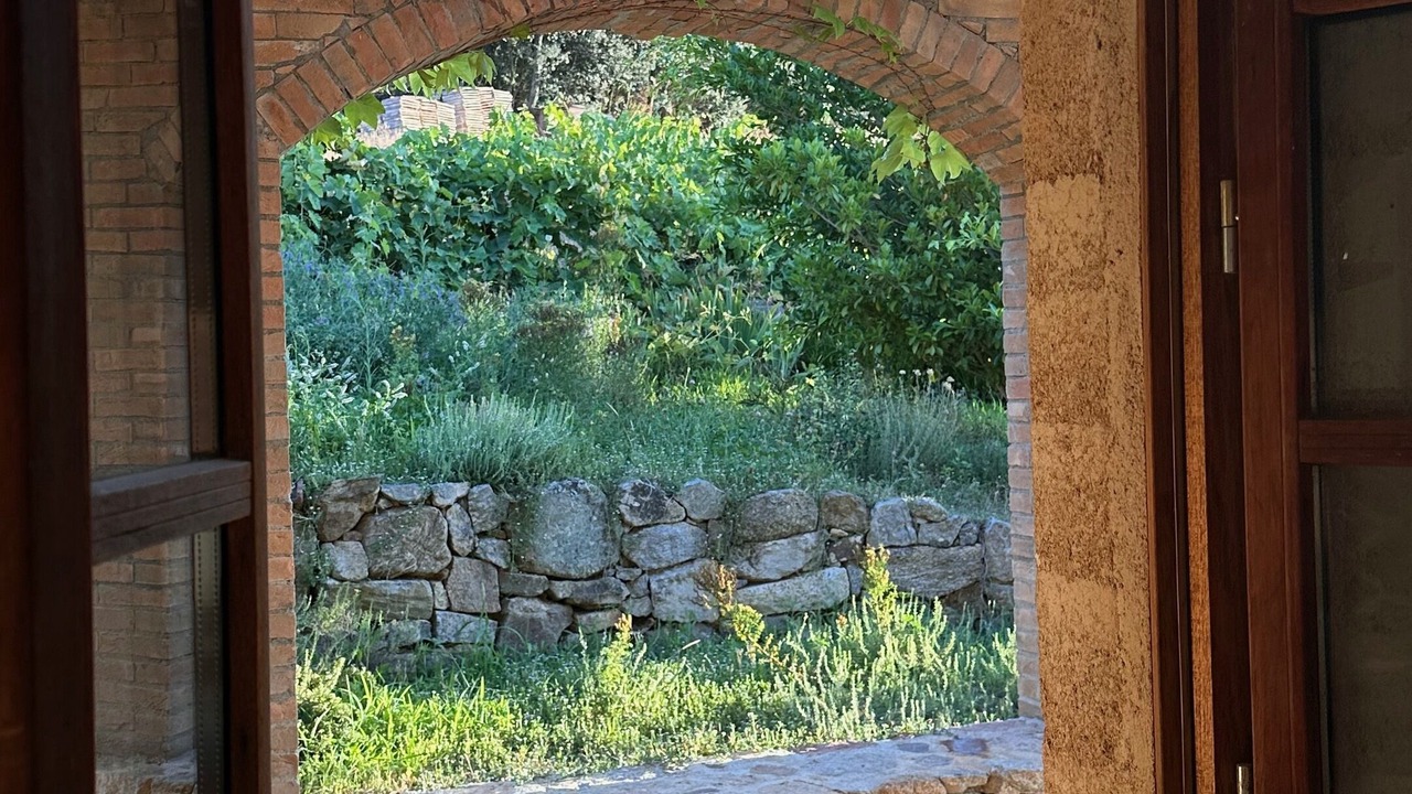 Photo of Others in Belgodere