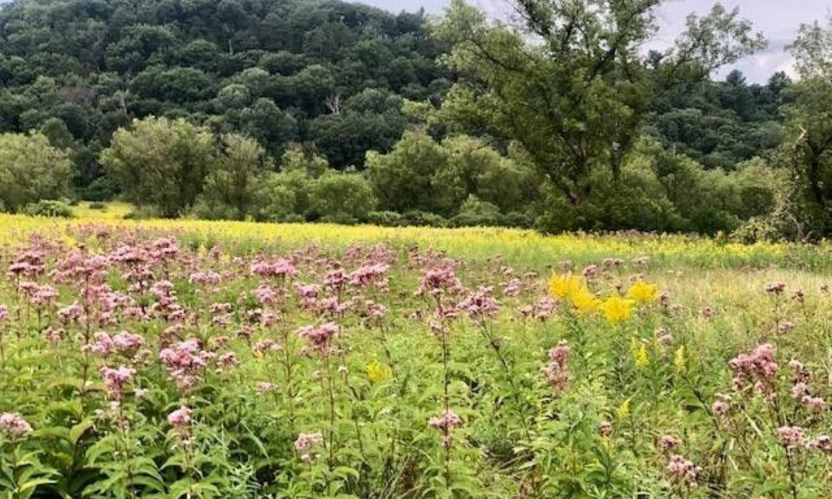 Photo of Outdoor in Iowa County