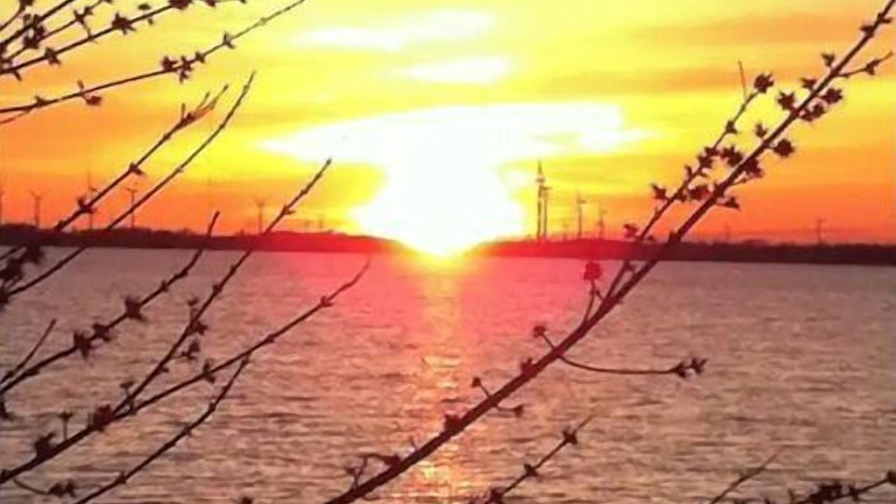 Photo of Others in Cape Vincent