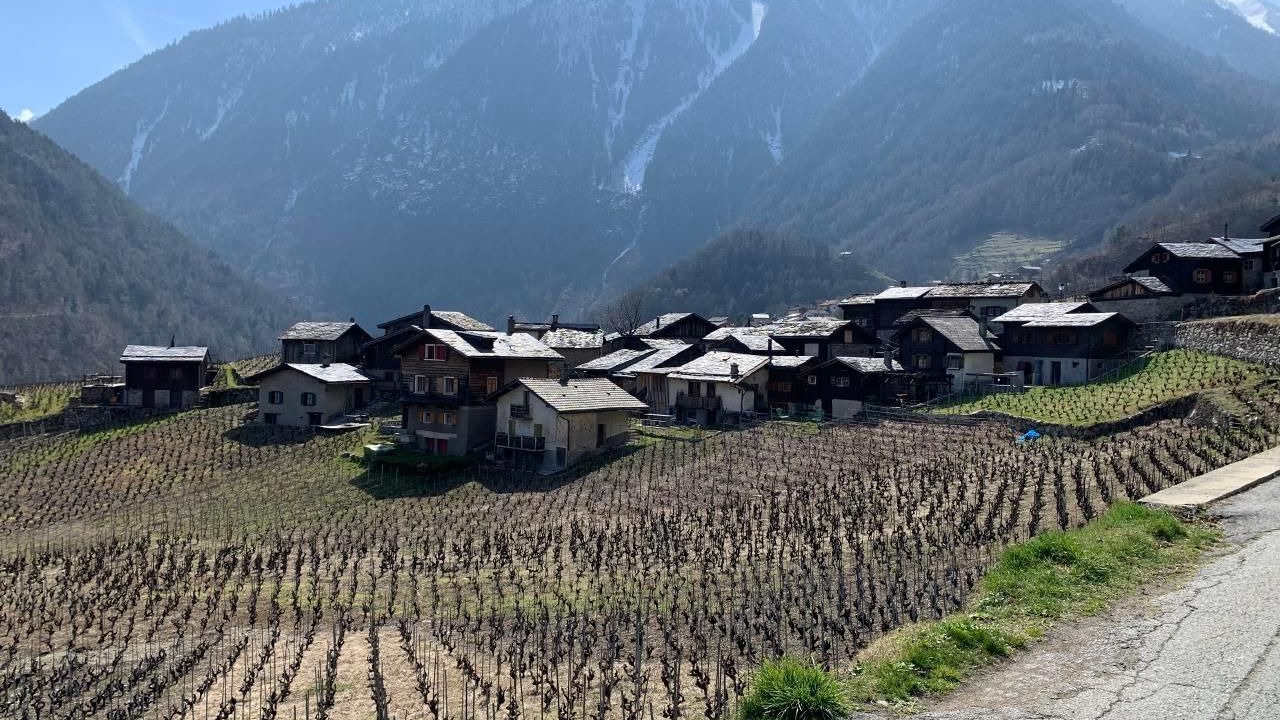 Photo of Others in Martigny-Combe
