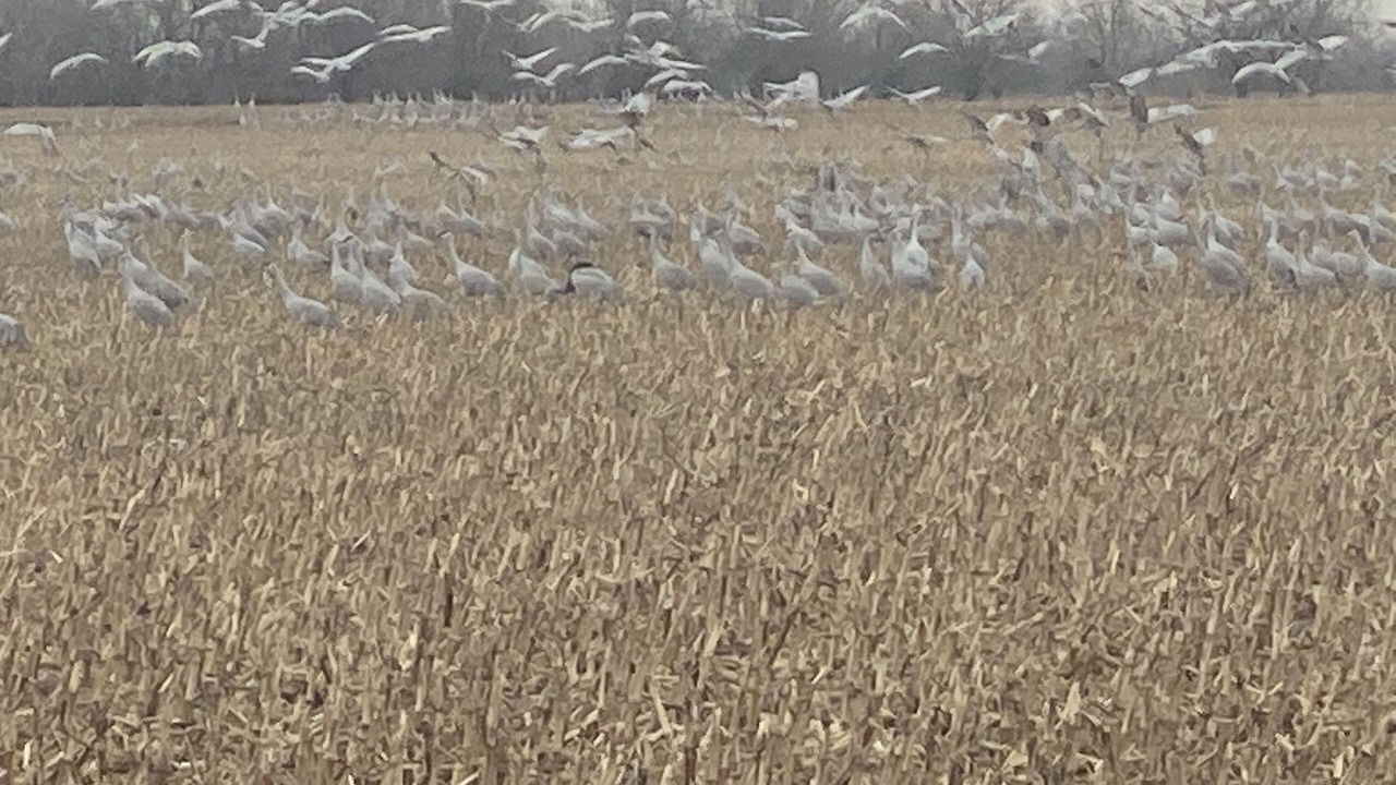 Photo of Others in Wood River