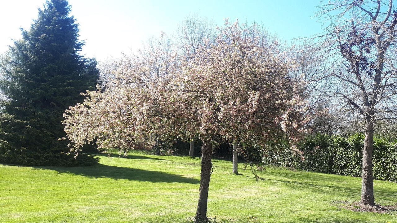 Photo of Outdoor in Sens-de-Bretagne