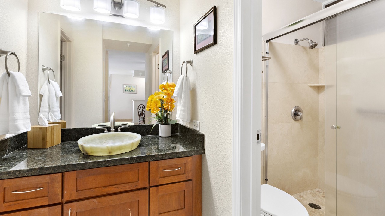 Photo of Bathroom in Napili