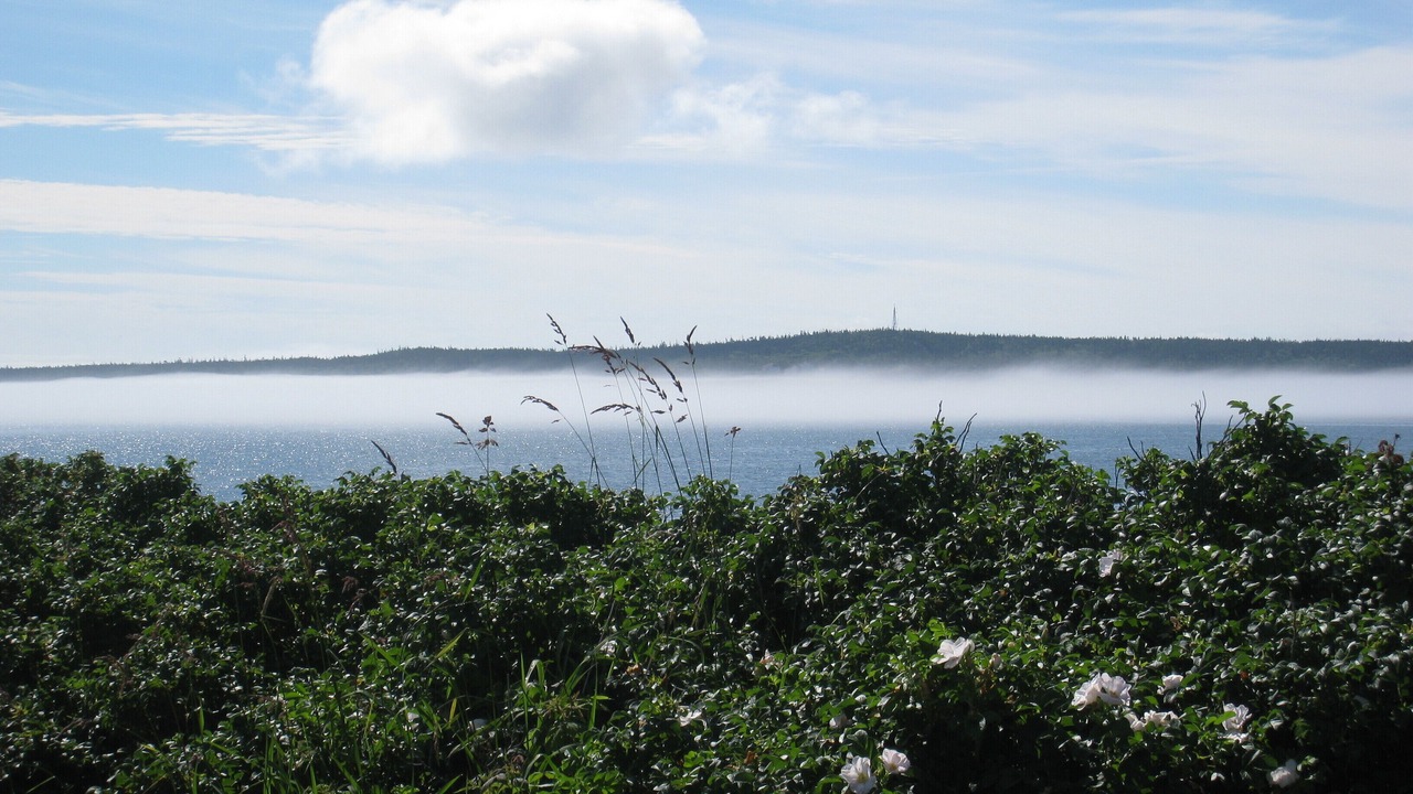 Photo of Others in Lubec