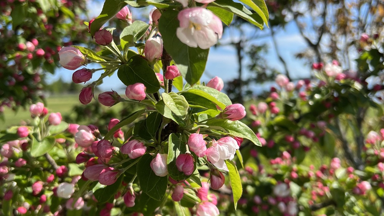 Photo of Outdoor in Lubec