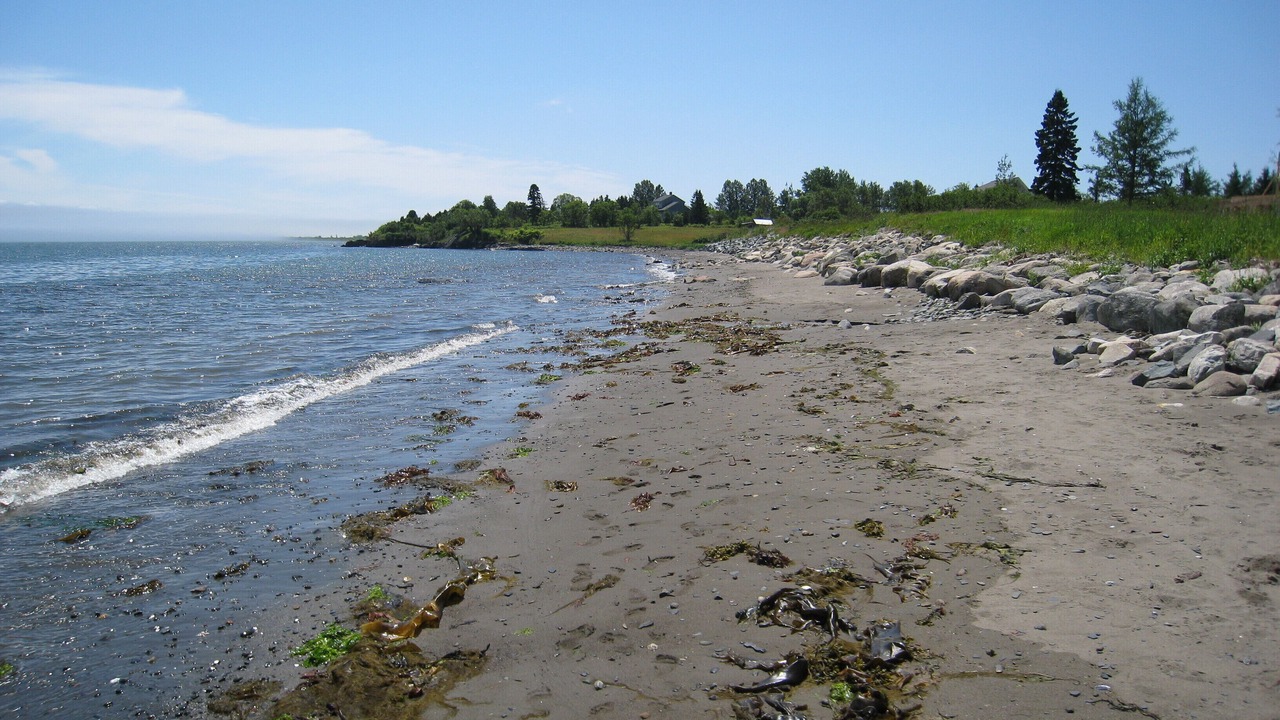 Photo of Others in Lubec