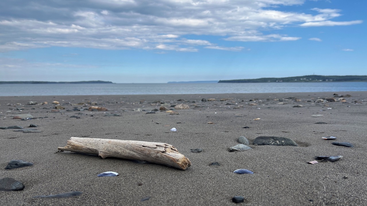 Photo of Others in Lubec