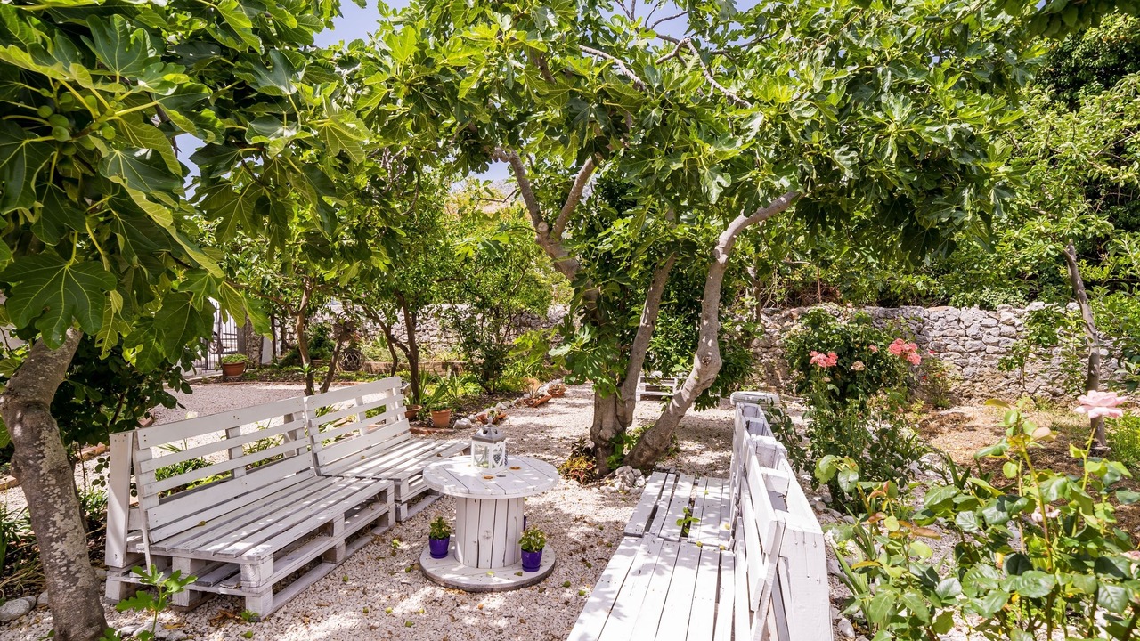 Photo of Outdoor in Slano