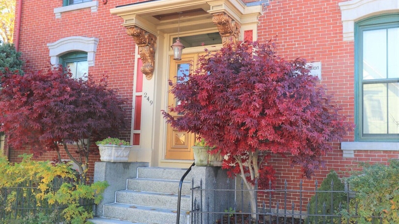 Photo of Outdoor in Parkside