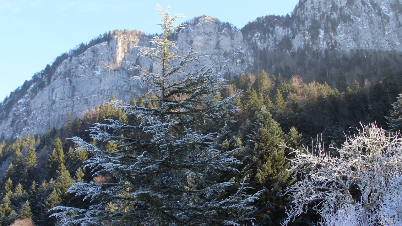 Photo of Outdoor in Saint-Christophe-sur-Guiers