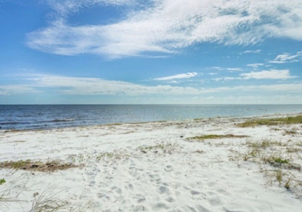 Photo of Others in Carrabelle