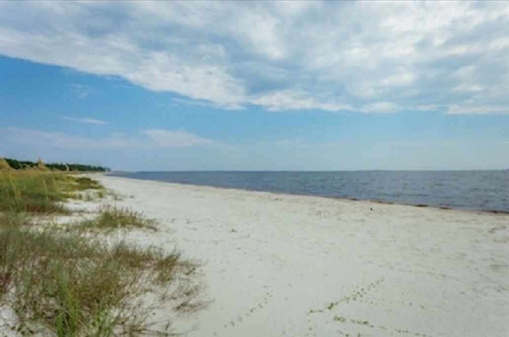 Photo of Others in Carrabelle