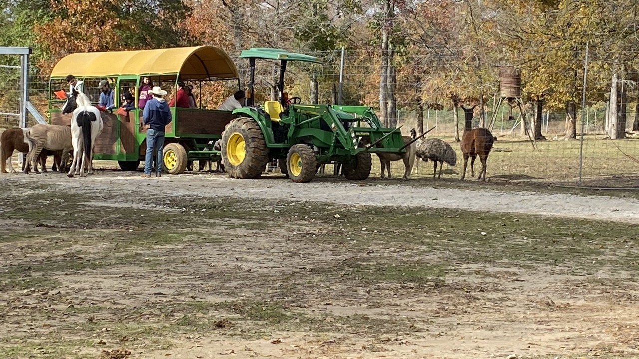 Photo of Others in Centerville