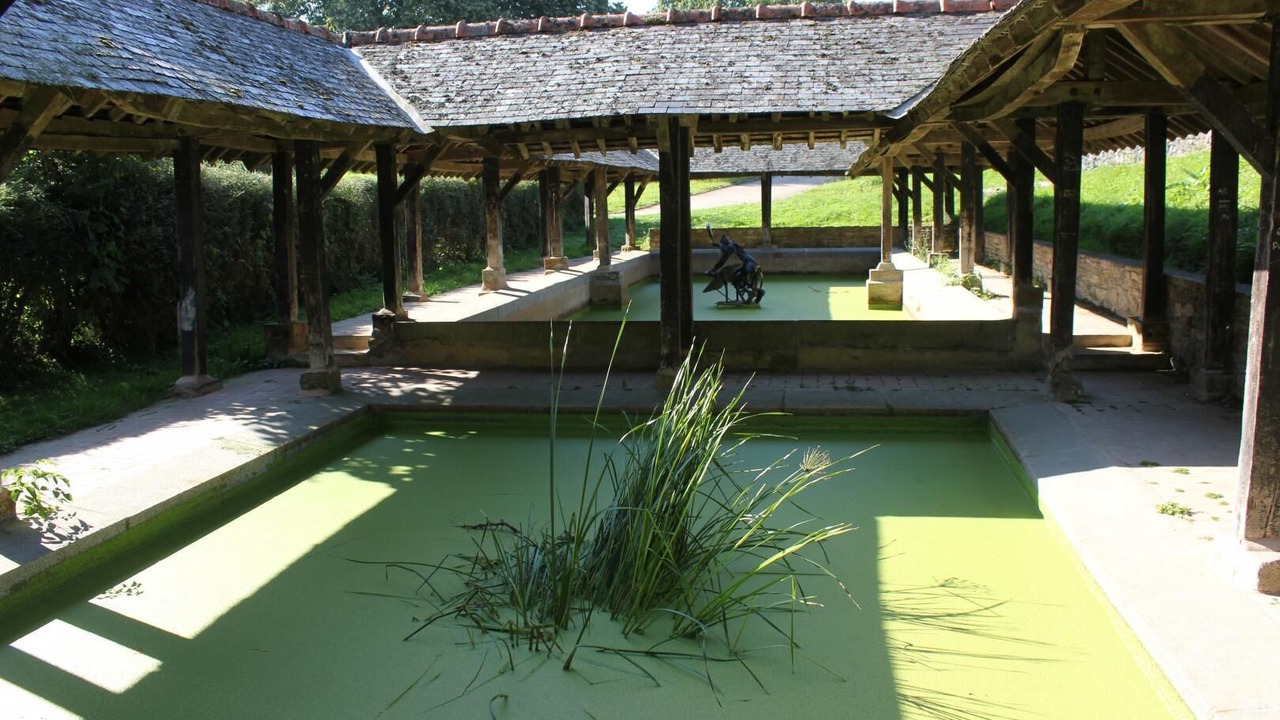 Photo of Outdoor in Saint-Sulpice-des-Landes