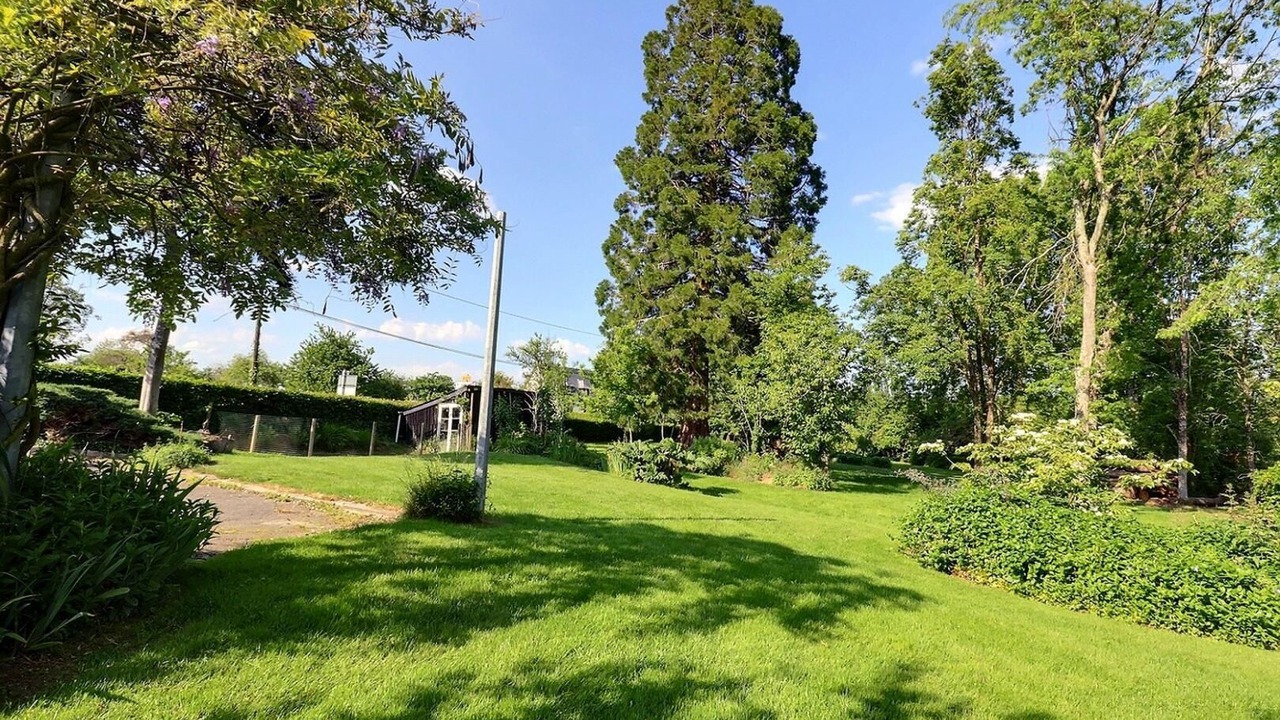 Photo of Outdoor in Saint-Sulpice-des-Landes