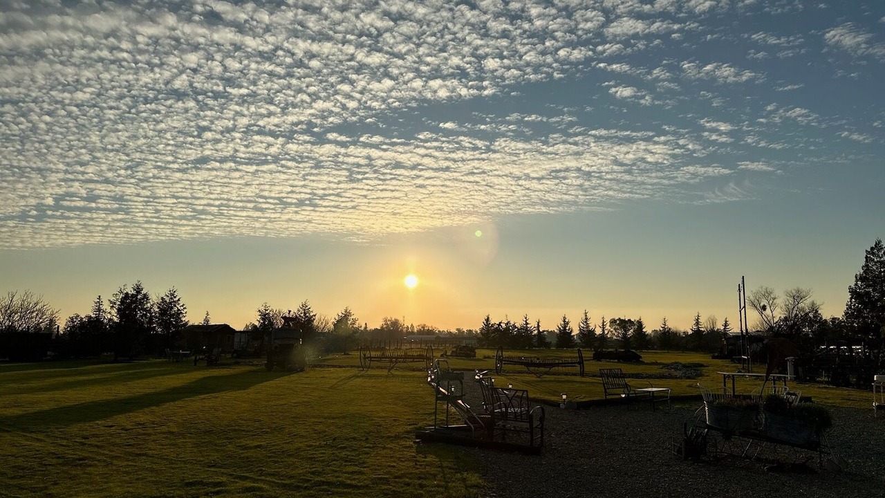 Photo of Others in Acampo