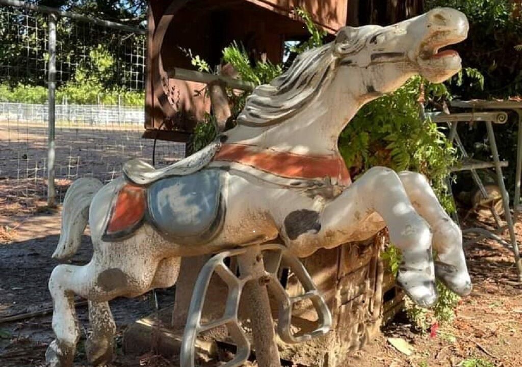 Photo of Others in Acampo