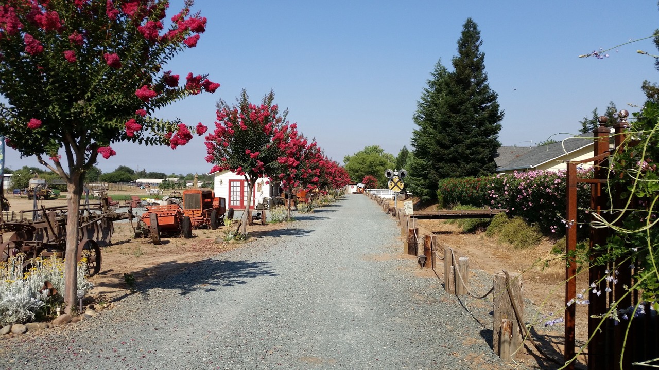 Photo of Others in Acampo