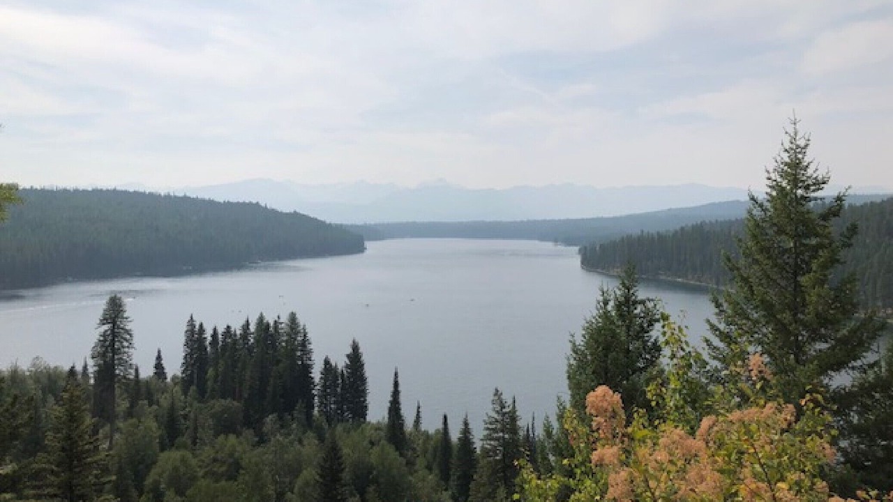 Photo of Others in Condon