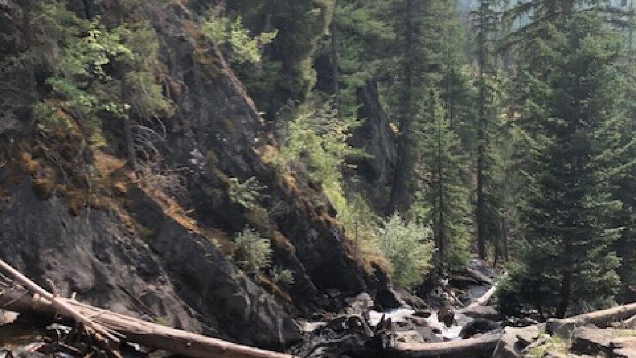 Photo of Others in Condon