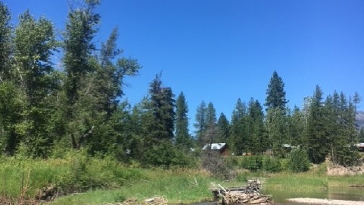 Photo of Outdoor in Condon