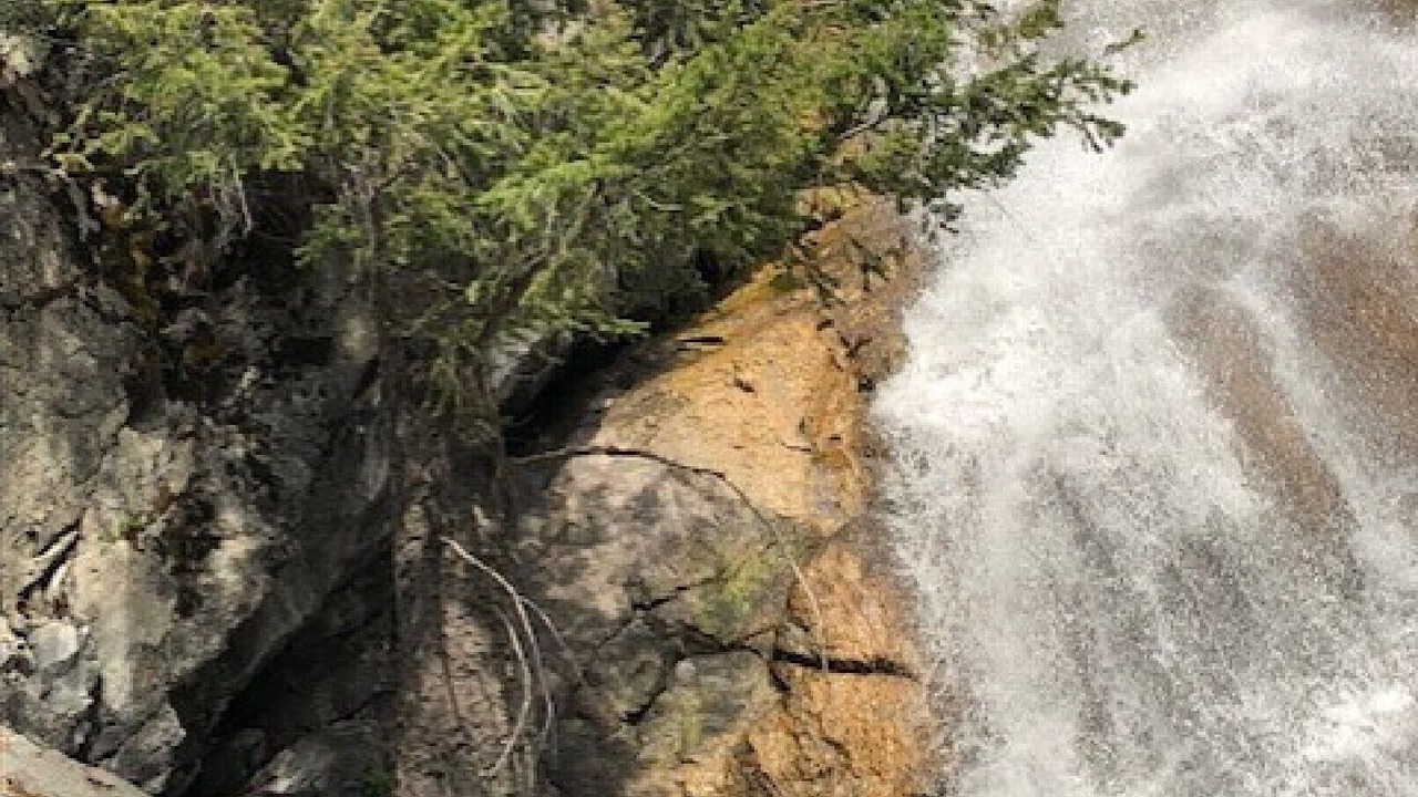 Photo of Outdoor in Condon