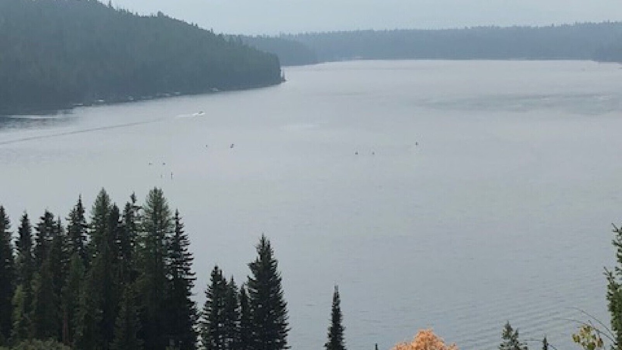 Photo of Others in Condon