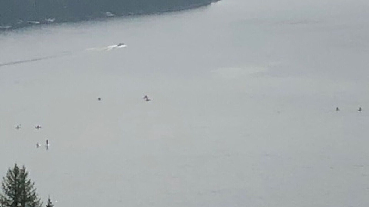 Photo of Others in Condon