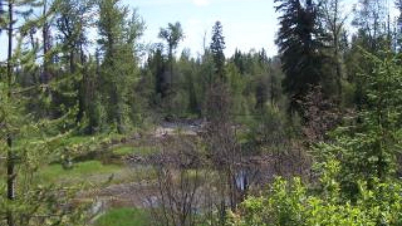 Photo of Outdoor in Condon