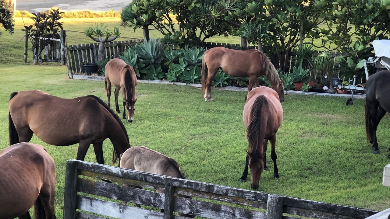 Photo of Others in Ahipara