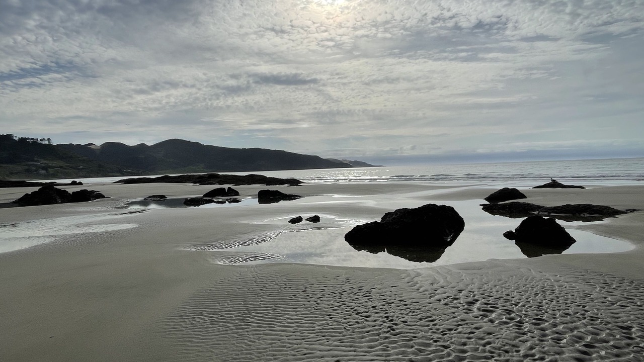 Photo of Others in Ahipara