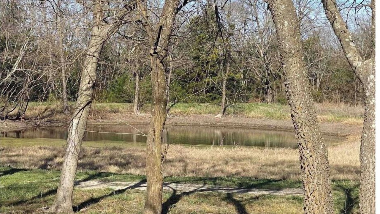 Photo of Outdoor in Westminster