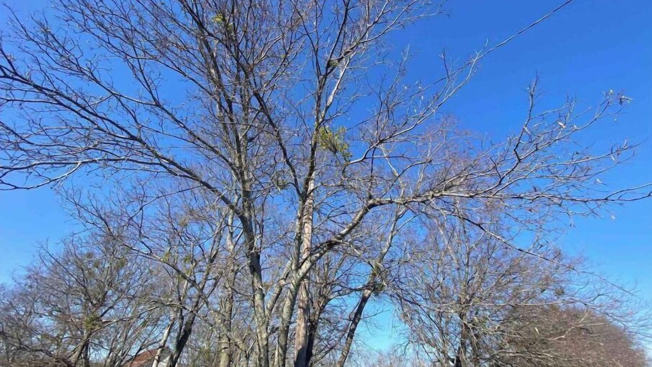 Photo of Outdoor in Westminster