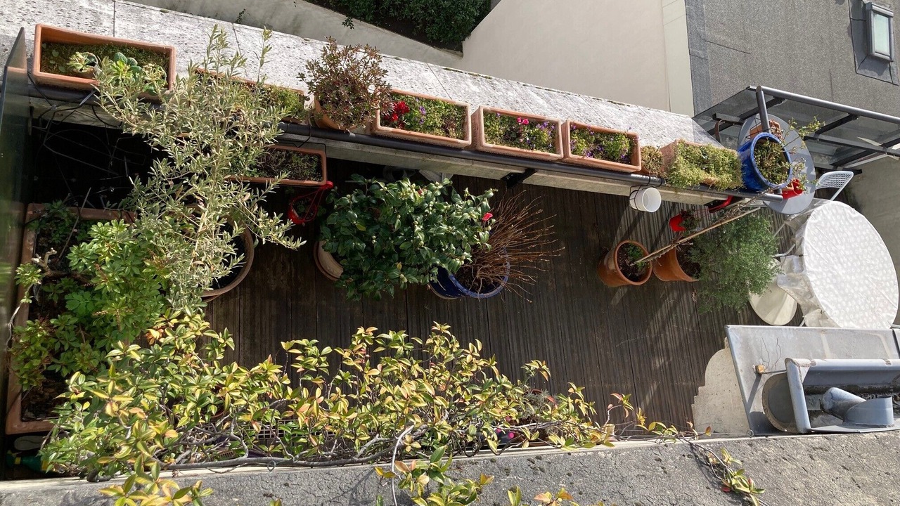 Photo of Patio Balcony in Quartier de la Maison-Blanche