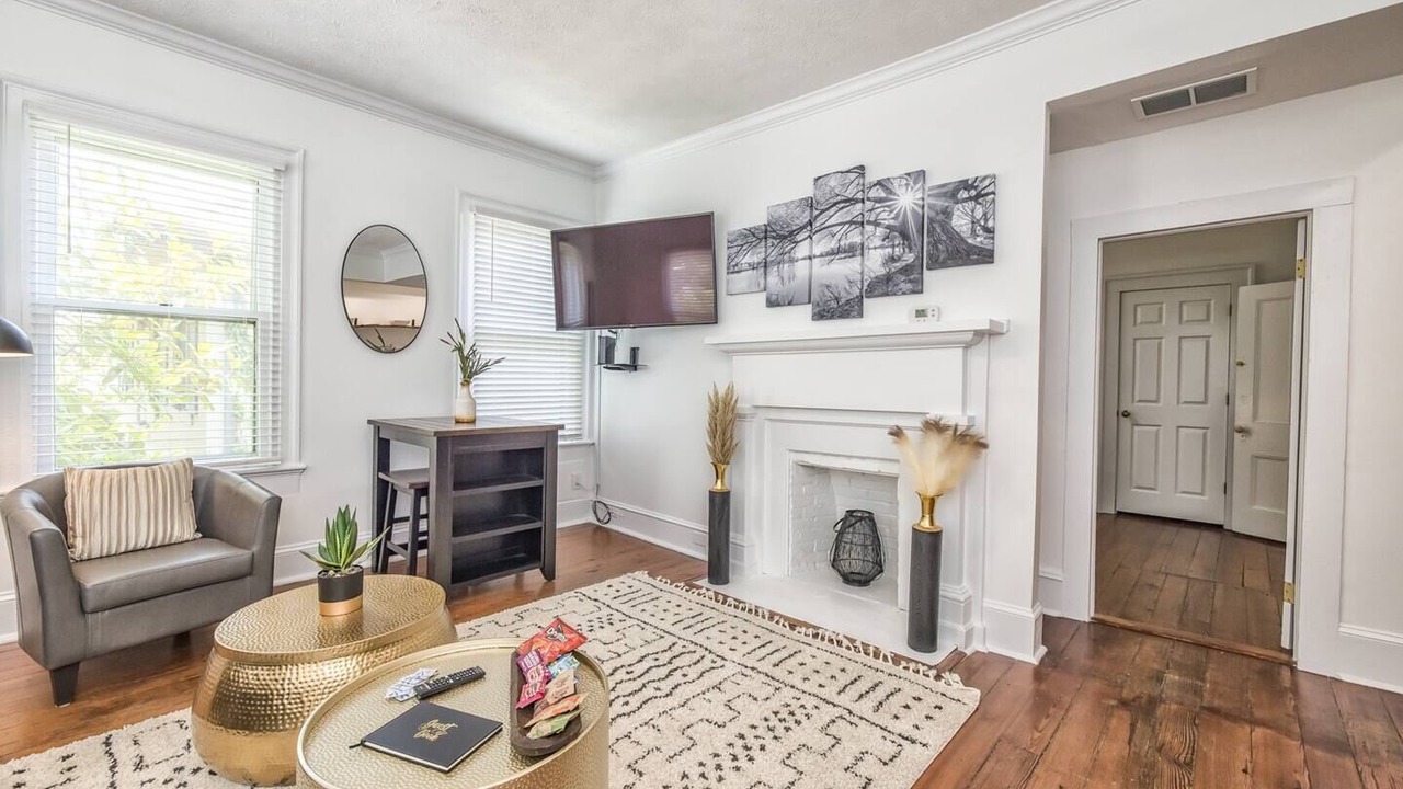 Photo of Livingroom in Wilmington Historic District