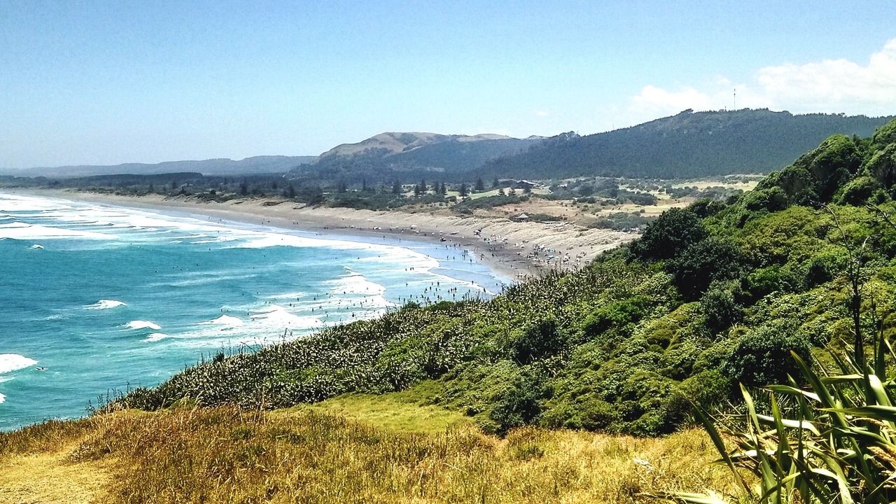 Photo of Others in Muriwai
