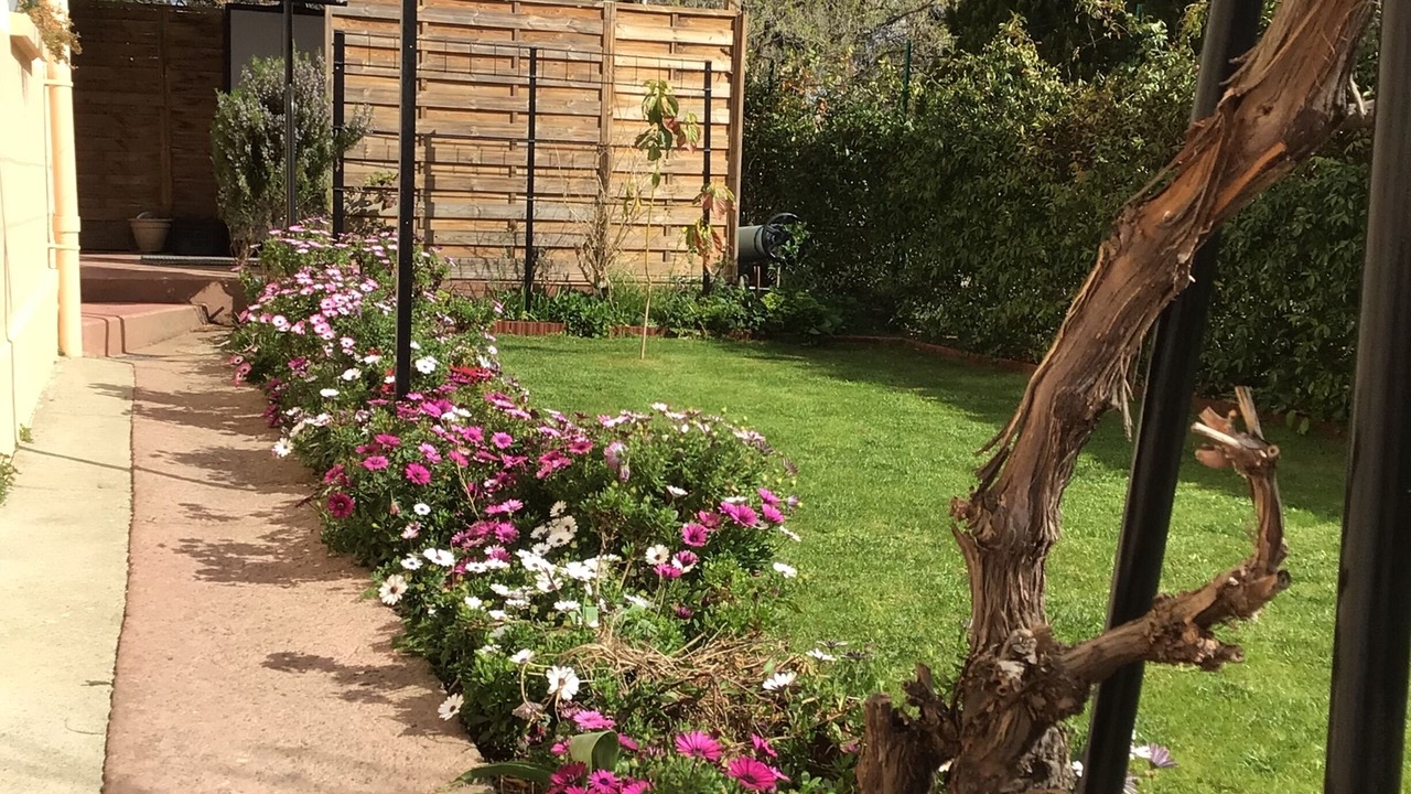 Photo of Outdoor in Ceret